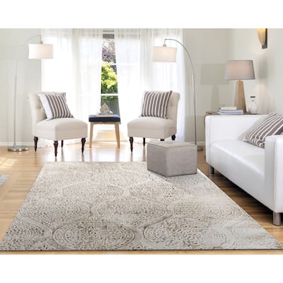 Dynamic Rugs Quartz Traditional Area Rug