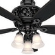 preview thumbnail 12 of 19, Hunter 54" Promenade Ceiling Fan with LED Light Kit and Handheld Remote - Victorian, Transitional - ENERGY STAR!