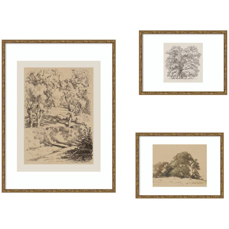 Kate and Laurel Sketches of Nature by Fry, Becker & Bosboom 3 Piece Framed Wall Art Print Set by Nostalgia Prints - 3 Piece Set 24x33/14x19