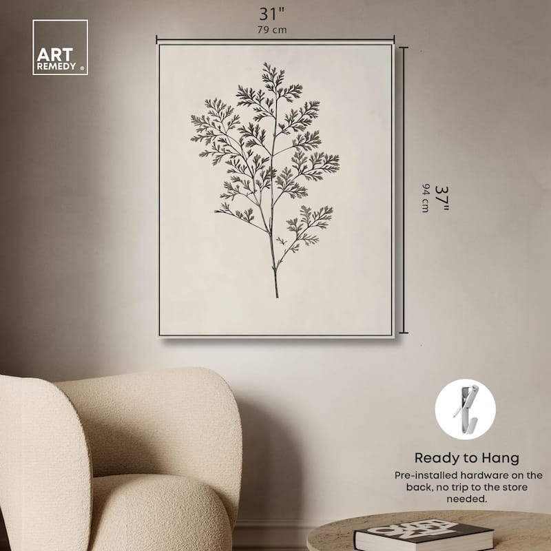 Aniseed Anatomy II Canvas Delicate Floral by Art Remedy