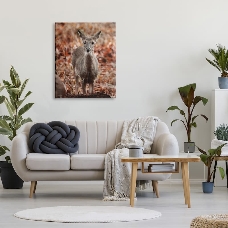 Stupell Fawn in Autumn Nature Canvas Wall Art Design by Dakota Diener
