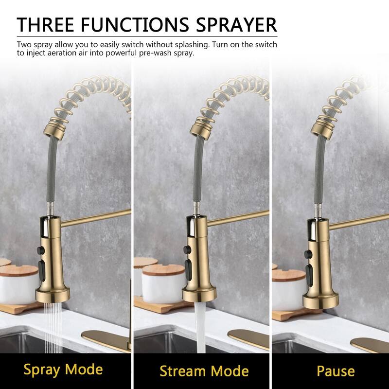 PROOX Single Handle Kitchen Sink Faucet with Pull Out Sprayer