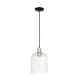 preview thumbnail 40 of 81, Innovations Lighting Endless Possibilities Arcadia - Bridal Veil - 1 Light 8" Cord Hung Mini Pendant Black Antique Brass/Seedy