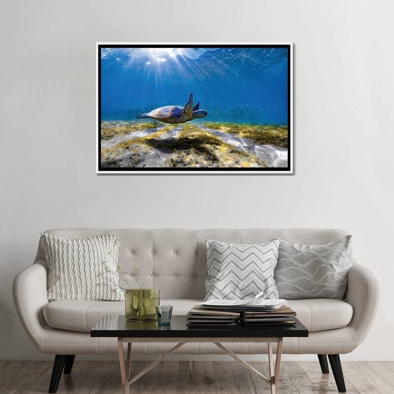 iCanvas "Waimea Turtle Glide" by Sean Davey Framed