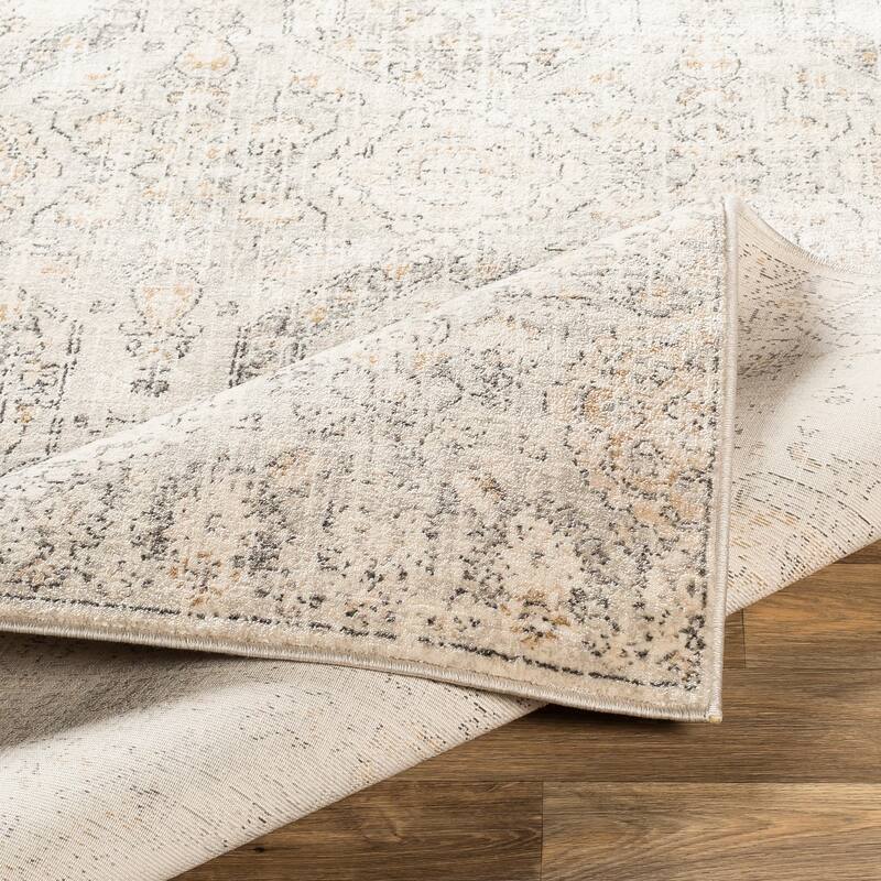 Livabliss Appingedam Vintage Medallion Area Rug