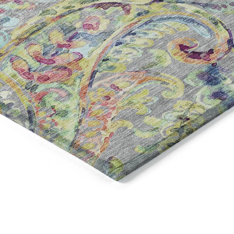 HomeRoots Paisley Transitional Rectangle Outdoor Rug