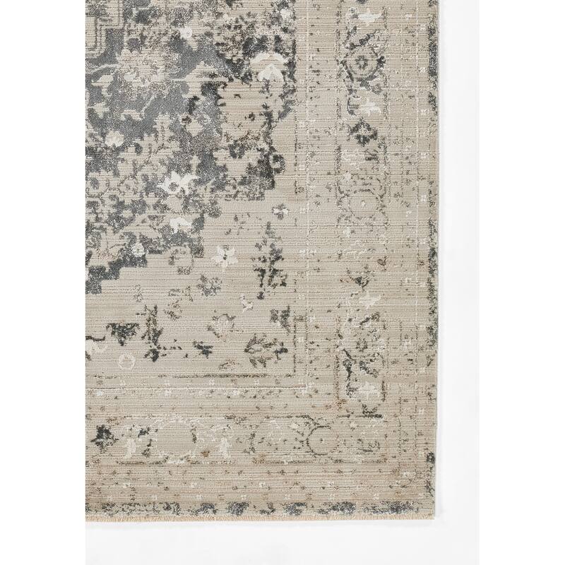 Momeni Cambridge Viscose Medallion Area Rug