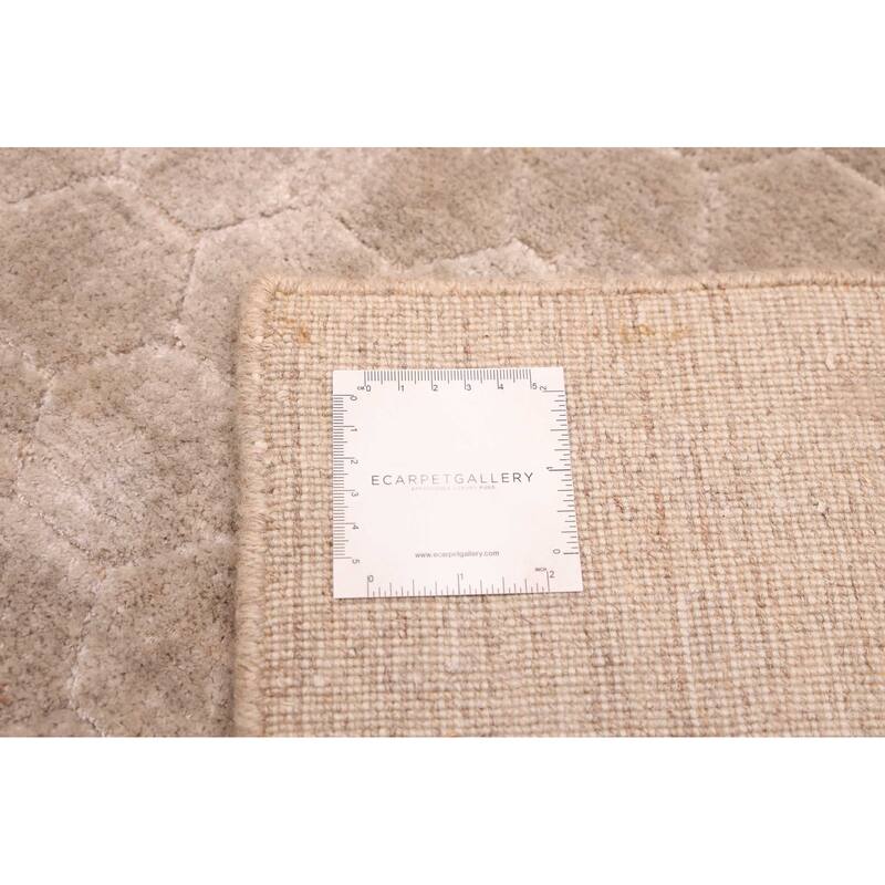 ECARPETGALLERY Hand Loomed Elysian Light Khaki Viscose Rug - 7'11 x 10'0