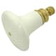 Option Polished Brass