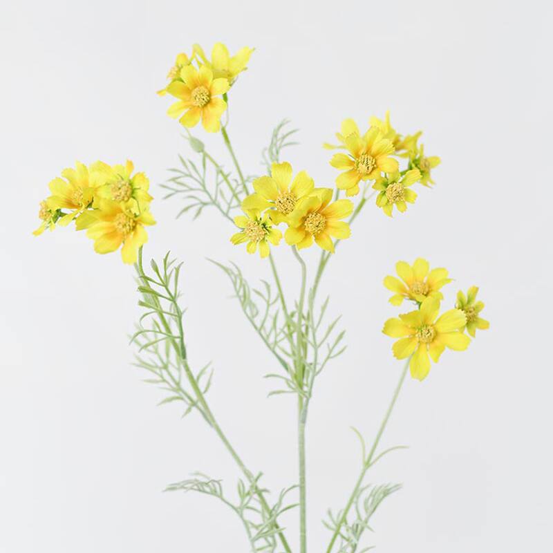 Silk Decorative Artificial Starry Sky Cosmos(Pack of 1 Branch)
