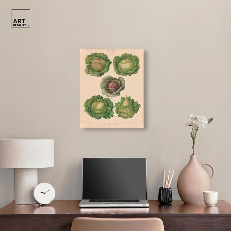 Cabbages by Benary 1876 Canvas by Art Remedy, Gallery Wrapped