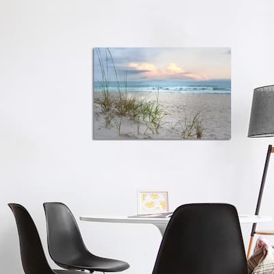 iCanvas "Beach Driftwood" by Nan Canvas Print
