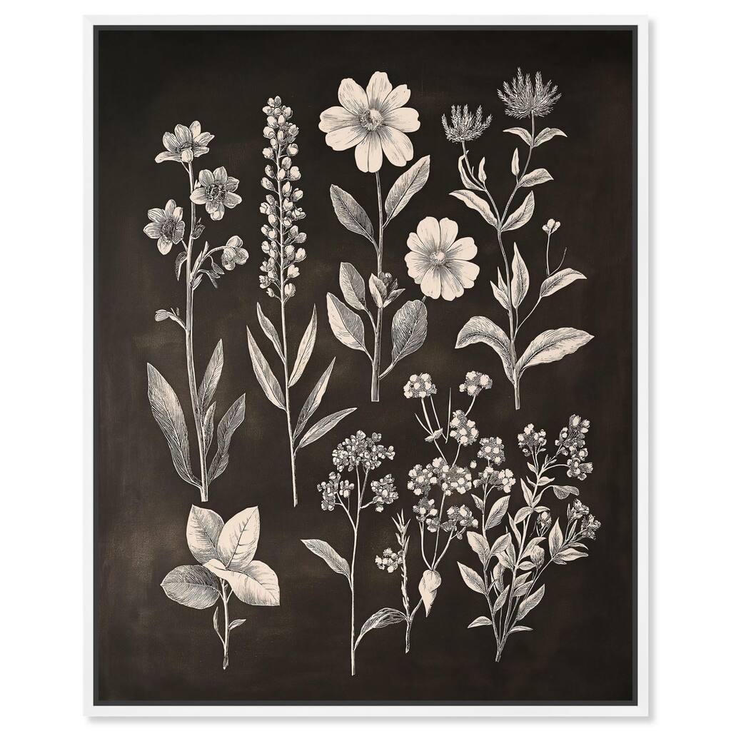 Herbarium on Dark Canvas by Art Remedy