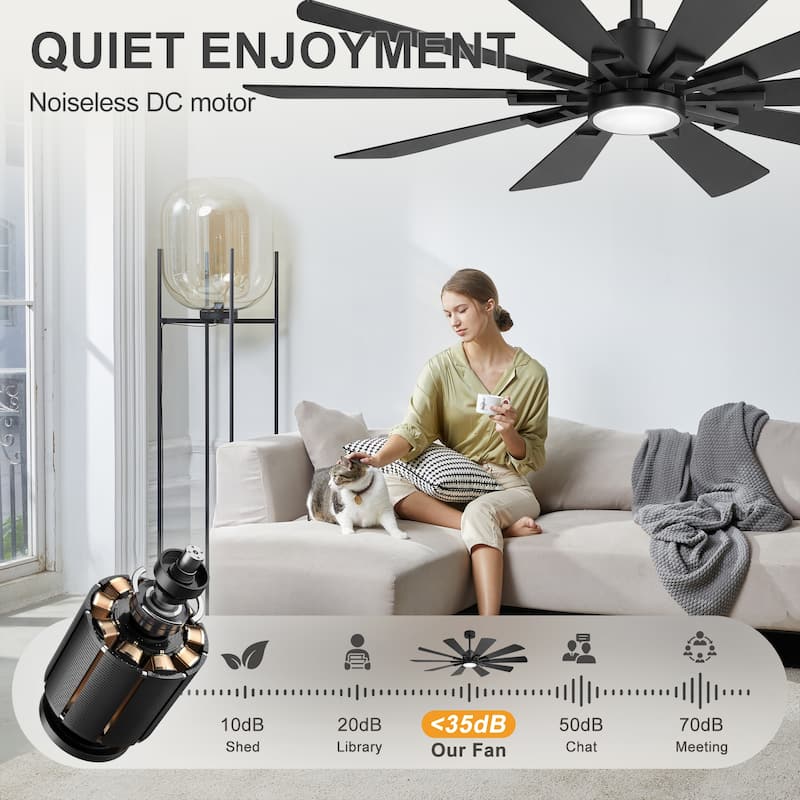 62/72-Inch Reversible 10-Blade Large Ceiling Fan with Light and Remote