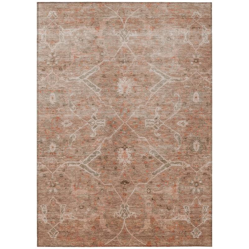 Machine Washable Indoor/ Outdoor Vintage Traditional Chantille Rug