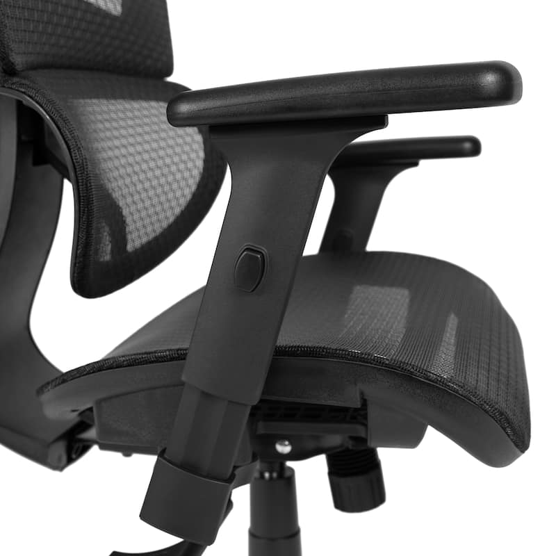 Ergonomic Mesh Office Chair with Synchro-Tilt, Headrest, Adjustable Pivot Arms
