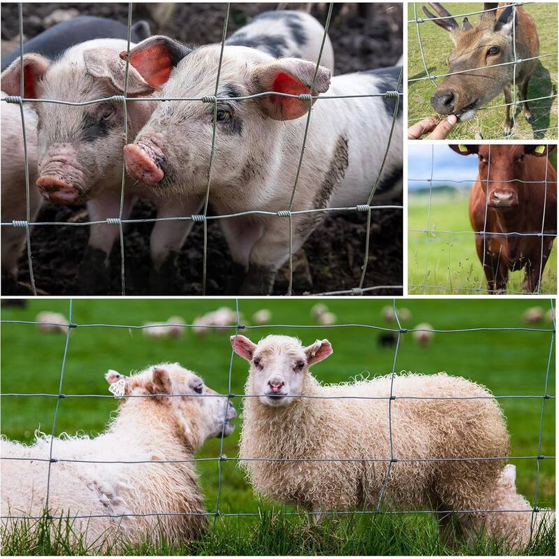 Heavy-Duty Farm Fence for Cattle, Hog, & Livestock Enclosures