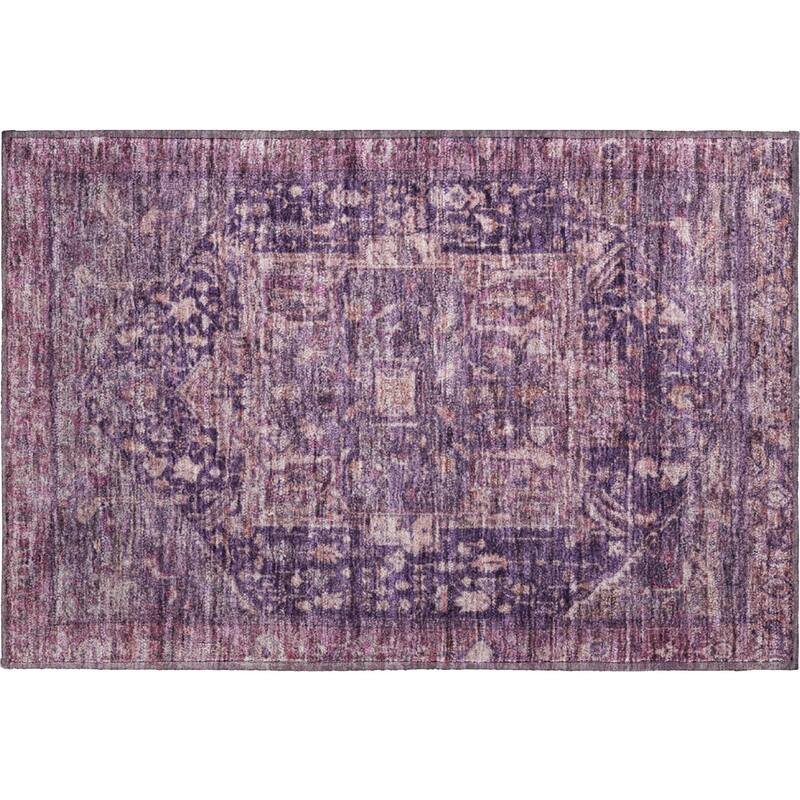 Premium Washable Super Soft Vintage Traditional Mayfield Rug