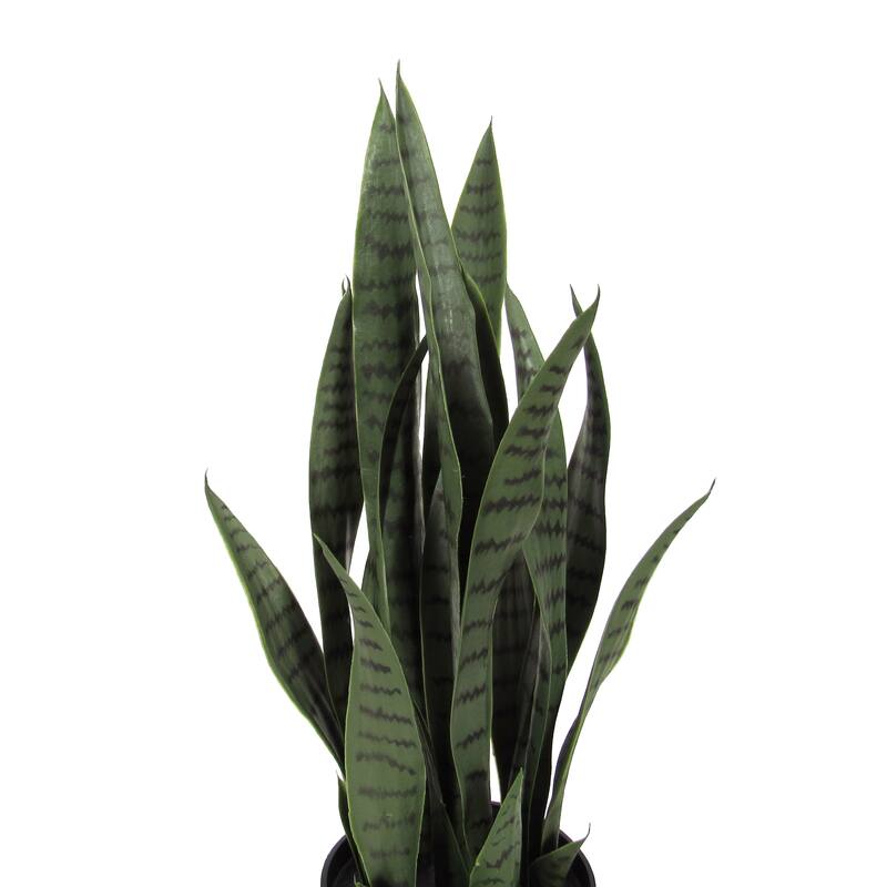 Artificial Sansevieria Snake Plant in Black Pot