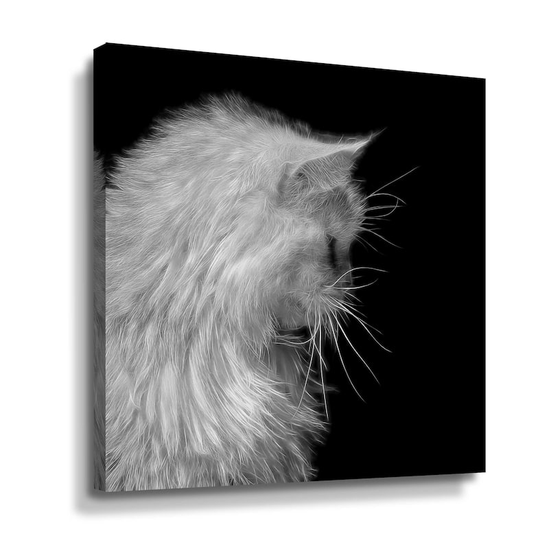 Maine Coon Cat by Cora Niele Gallery Wrapped Canvas - Bed Bath & Beyond ...
