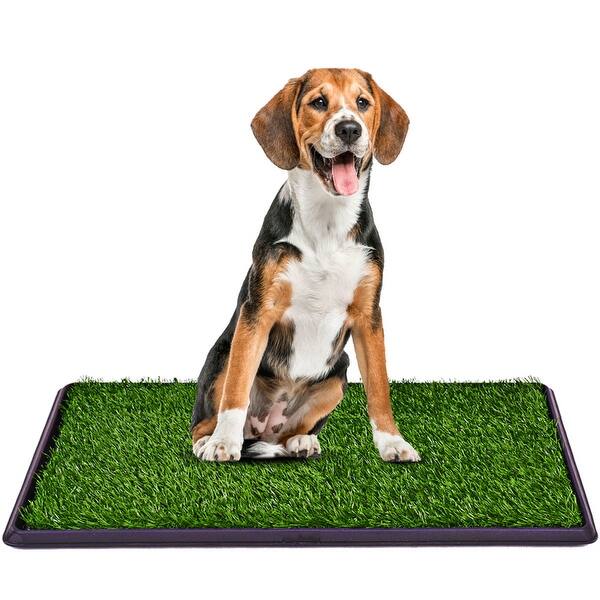 Shop Costway 30 X20 Puppy Pet Potty Training Pee Indoor Toilet