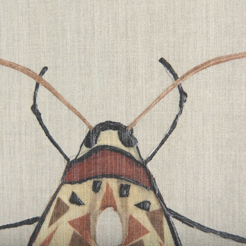 Moth I (30 x 30 ) Canvas Art Print