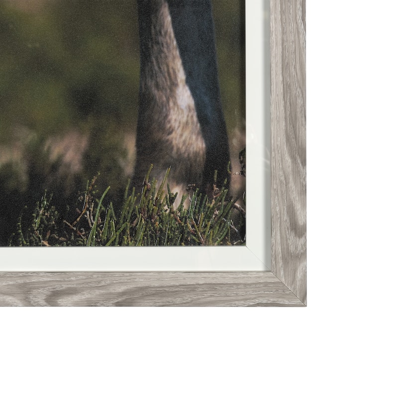 Nuzzled Together Framed Art Print