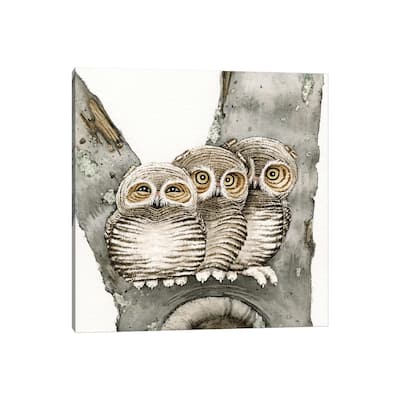 iCanvas "Three Owls" by Tracy Lizotte Canvas Print