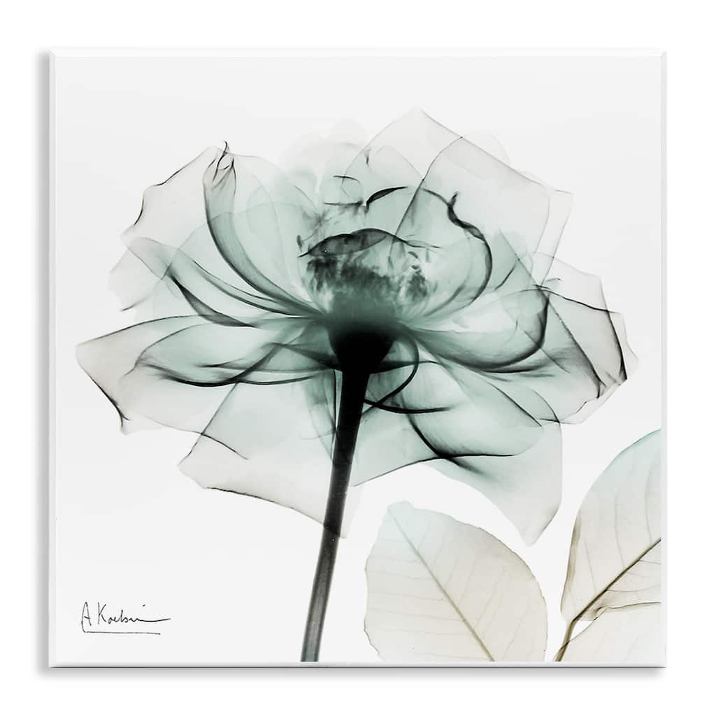 Stupell Transparent Flower Blossom Wall Plaque Art Design By Albert Koetsier
