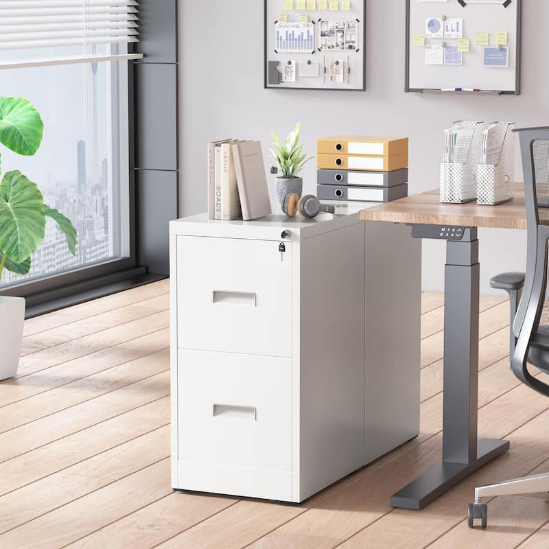 2/4 Drawer Vertical File Cabinet with Lock for Home Office, 18" D Filing Cabinet for Hanging Letter/F4/A4/Legal Size Folders