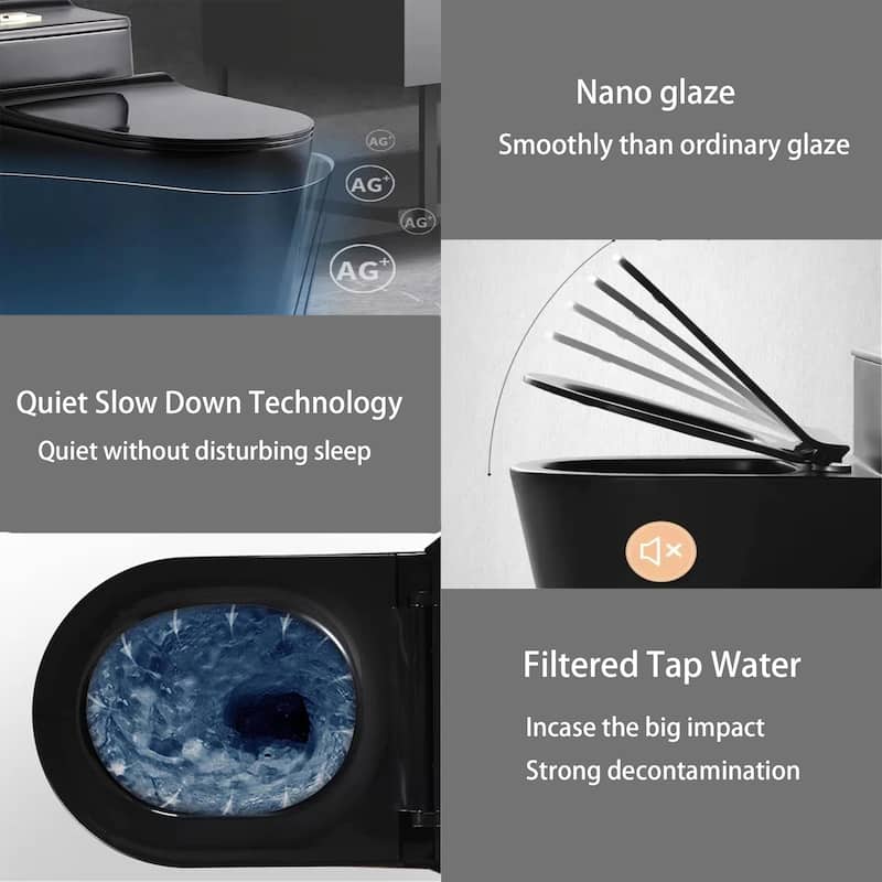 Black Saving Water One Piece Toilet with Seat