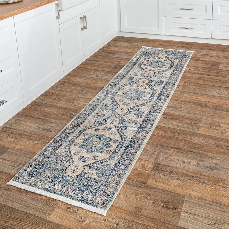 Nuloom Alexis Vintage Distressed Medallion Area Rug