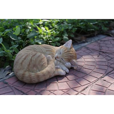 Orange Tabby Cat Sleeping Lying Down