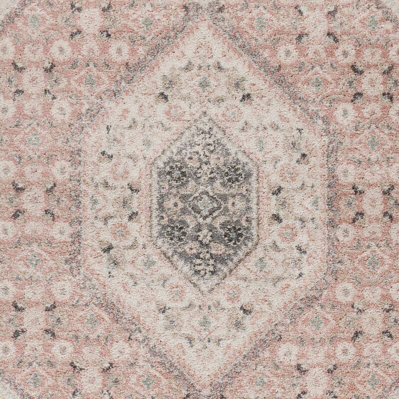 Sevita Soft Pink and Gray Oriental Area Rug