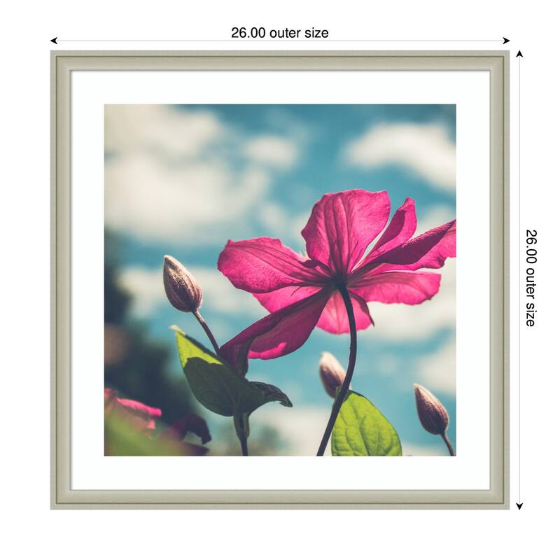 Kate and Laurel Framed Art Flower in the Sky by Stephanie Klatt