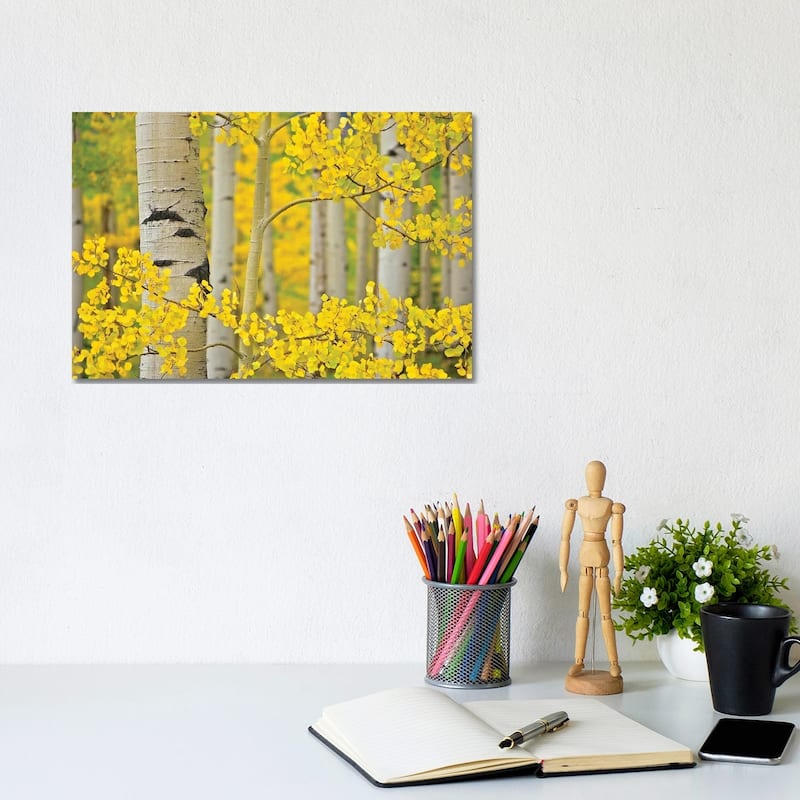 iCanvas "Aspen Autumn" by Dennis Frates Canvas Print - 8x12x0.75