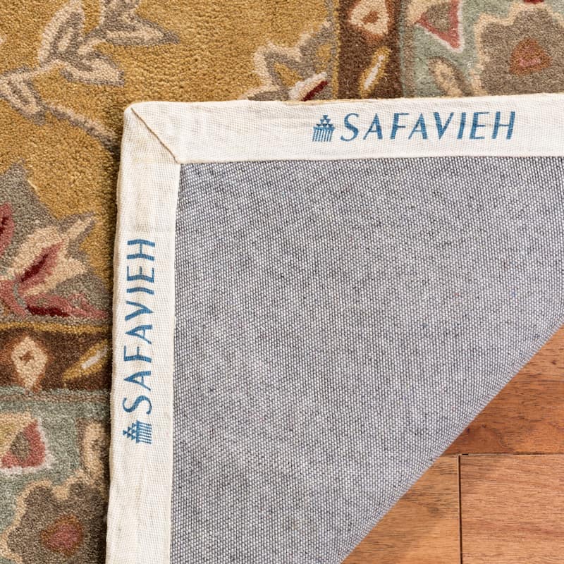 SAFAVIEH Handmade Total Performance Mujgan Oriental Rug
