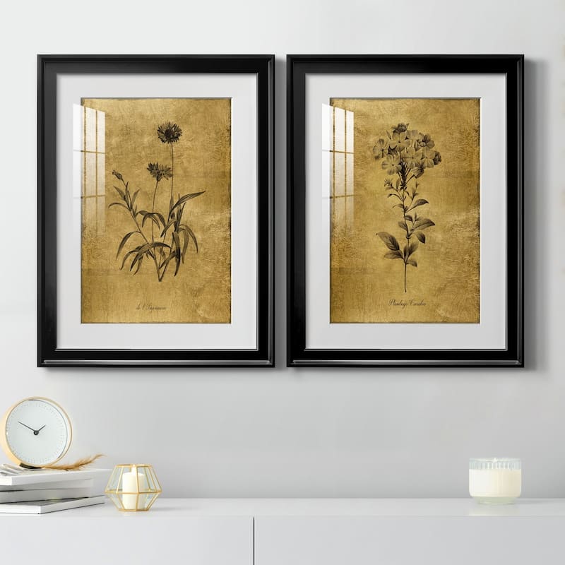 Gold Sketch Botanical I Premium Framed Print - Ready to Hang