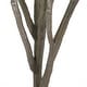 preview thumbnail 20 of 19, Gerald Artificial Leaf Tree by Christopher Knight Home