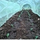 preview thumbnail 4 of 8, Haxnicks Easy Micromesh Plant Protection Tunnels