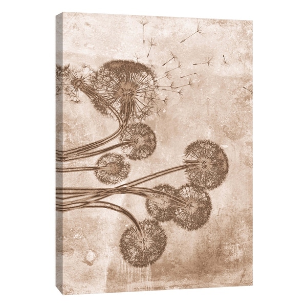 PTM Images 9-105800 PTM Canvas Collection 10" x 8" - "Sepia Flower Inversions 9" Giclee Dandelions Art Print on Canvas