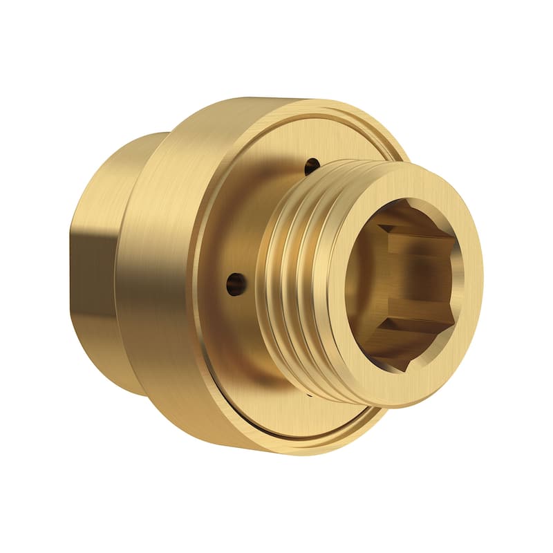 American Standard Replacement Vacuum Breaker - Brushed Cool Sunrise