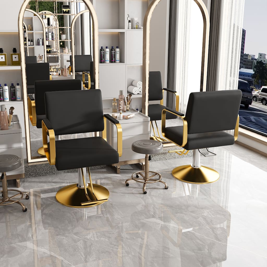 Roomfitters Hydraulic Salon Chair, 360 Swivel Styling Chair with Gold Base, Professional Barber Equipment, Black