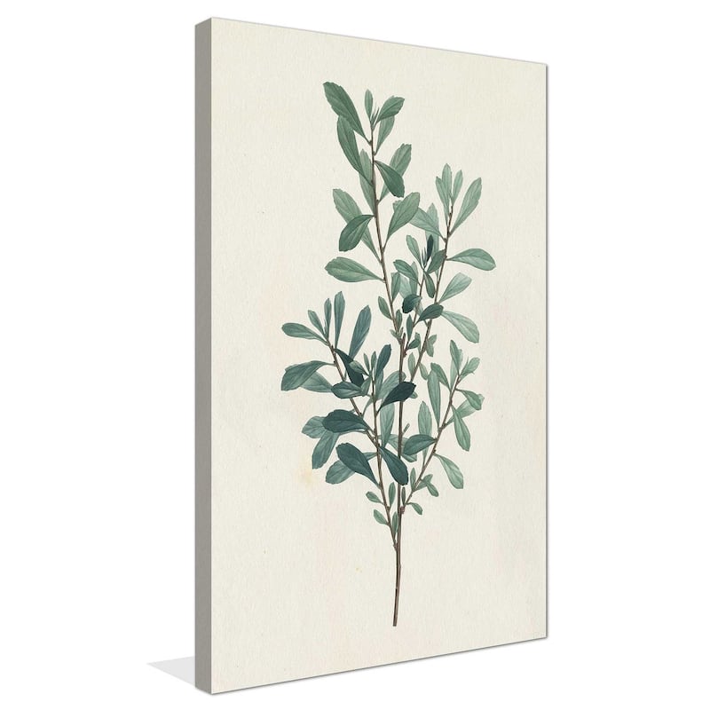 "Victorian Garden Greenery I (Vertical)" Print on Canvas