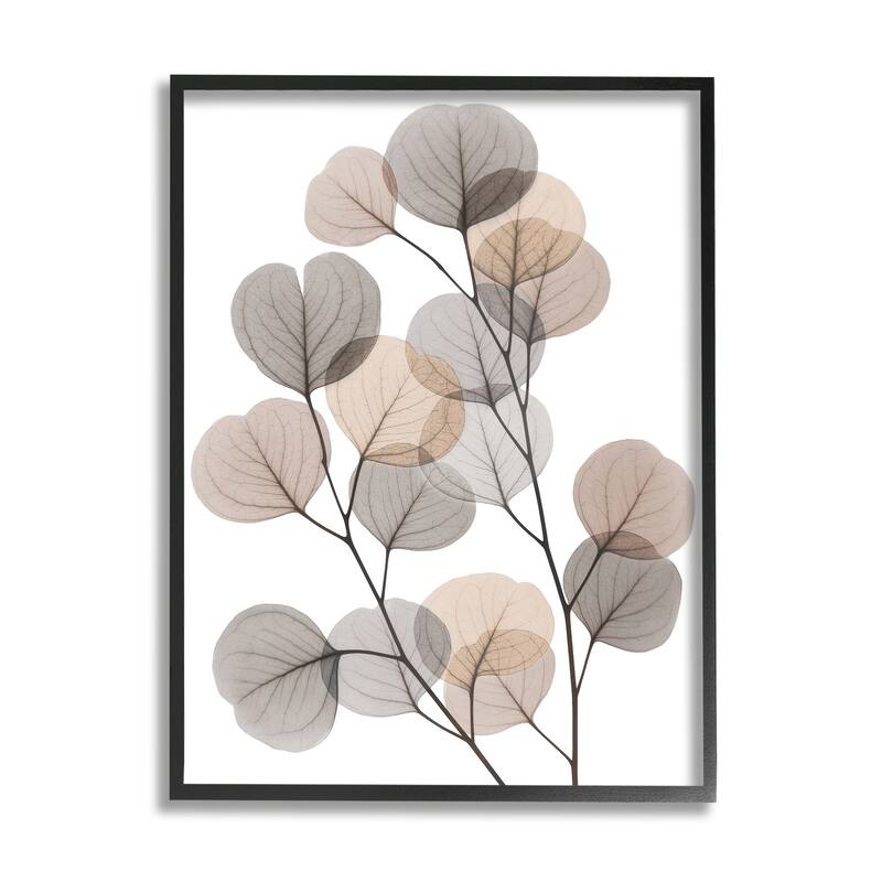 Stupell Modern Eucalyptus Leaf Stems Translucent Brown Grey Leaves Framed Wall Art - 16 x 20 - Black