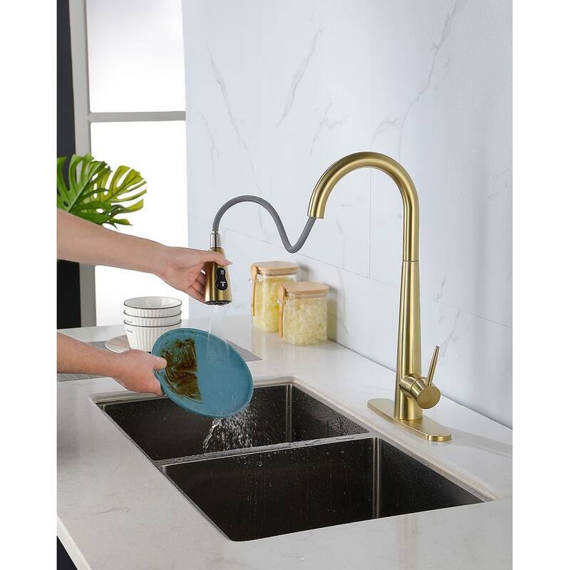 Modern Stainless Steel Kitchen Faucetswith Pull Down Sprayer