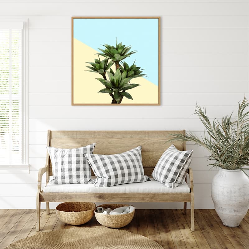 Agave 02 by Amini54 Framed Canvas Wall Art Print - Sylvie Natural