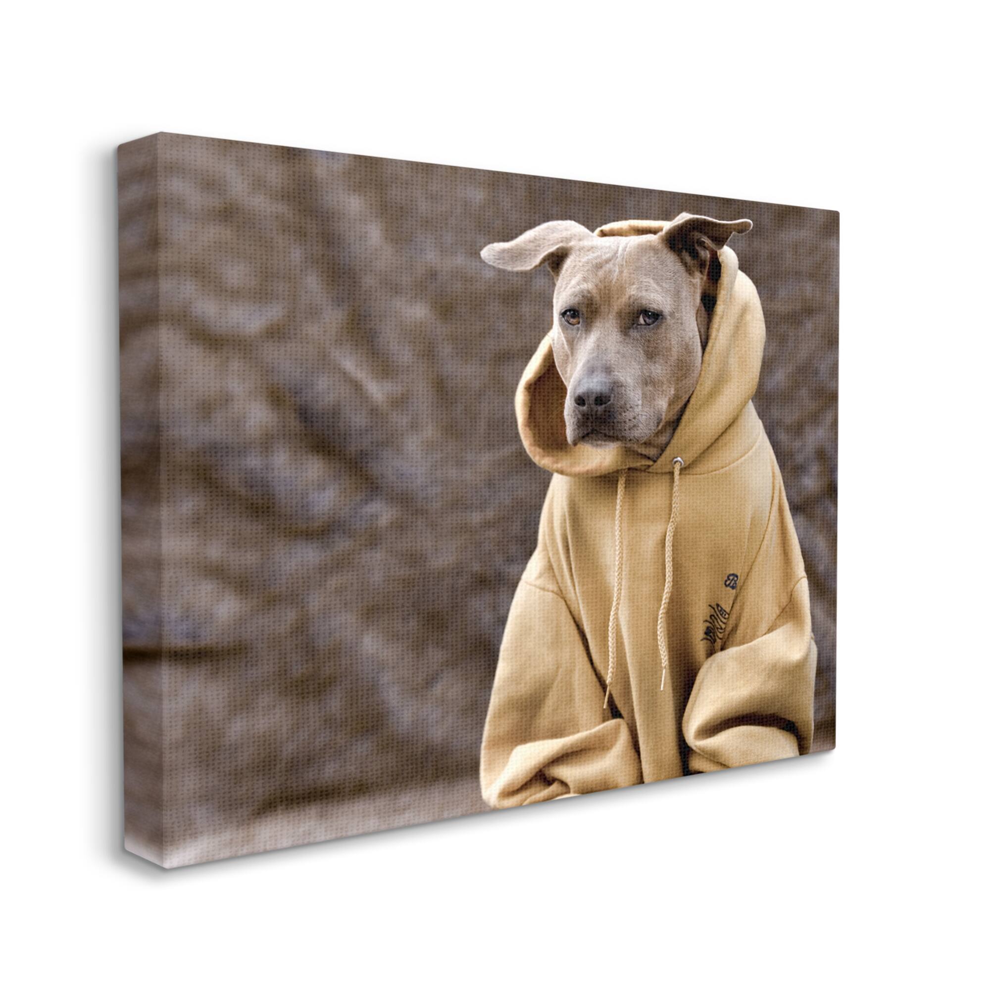 Stupell Beautiful Dog Wearing Cozy Yellow Hoodie Photography Canvas ...