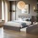 Option Light Gray