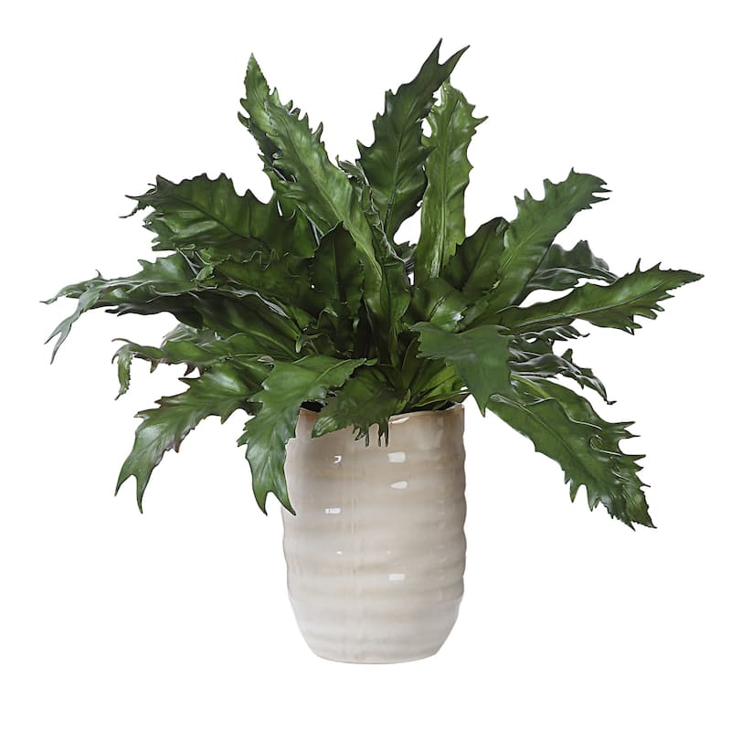 Glazed Pot Tabletop Artificial Fern Succulent - 18.75"